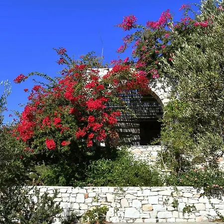 Paros Selana Country house Naousa (Paros)